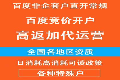 揭秘百度竞价代运营的背后：成功的关键因素